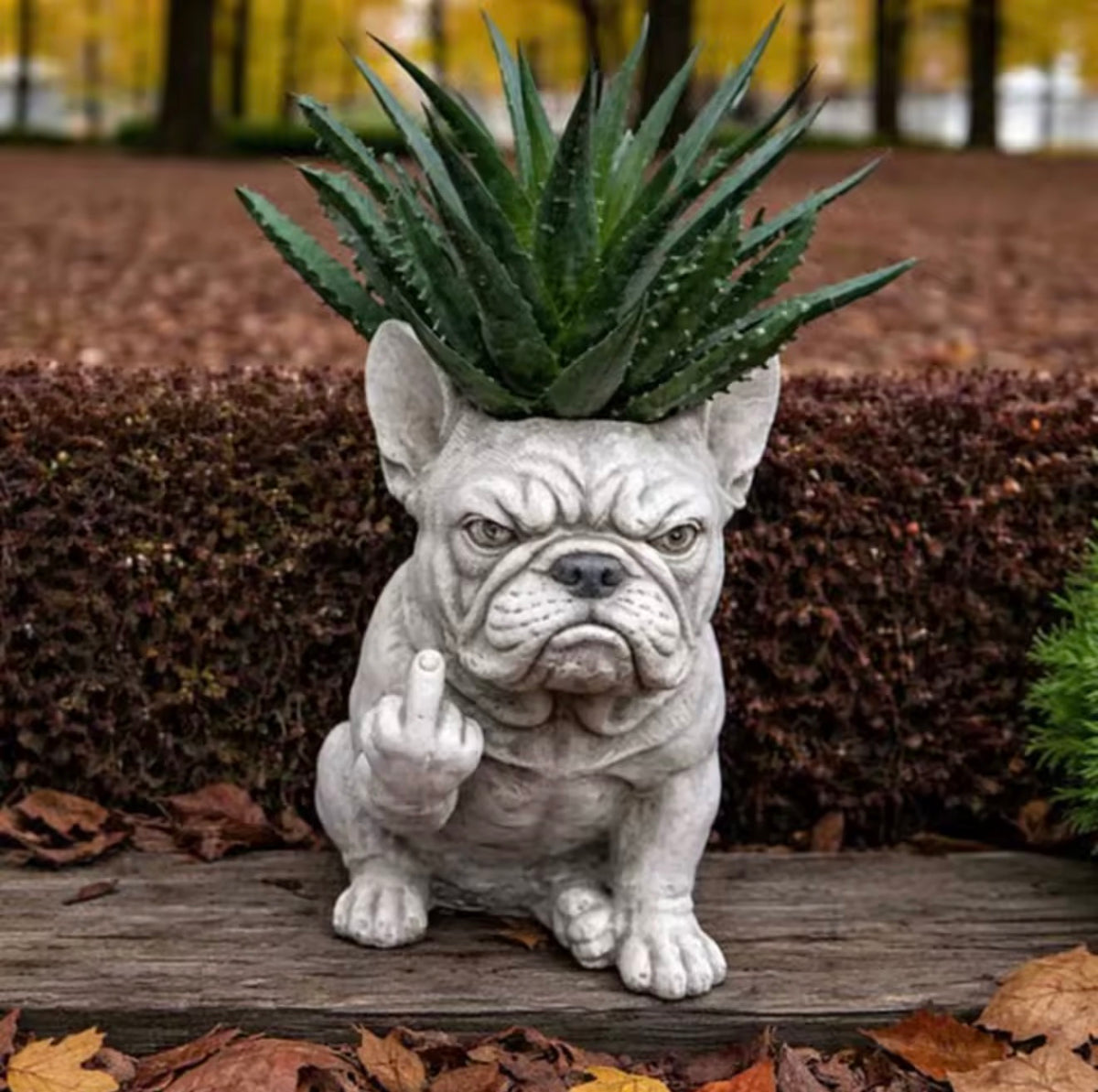 Middle Finger Pet Planter